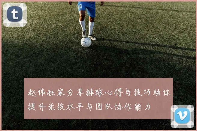 赵伟独家分享排球心得与技巧助你提升竞技水平与团队协作能力